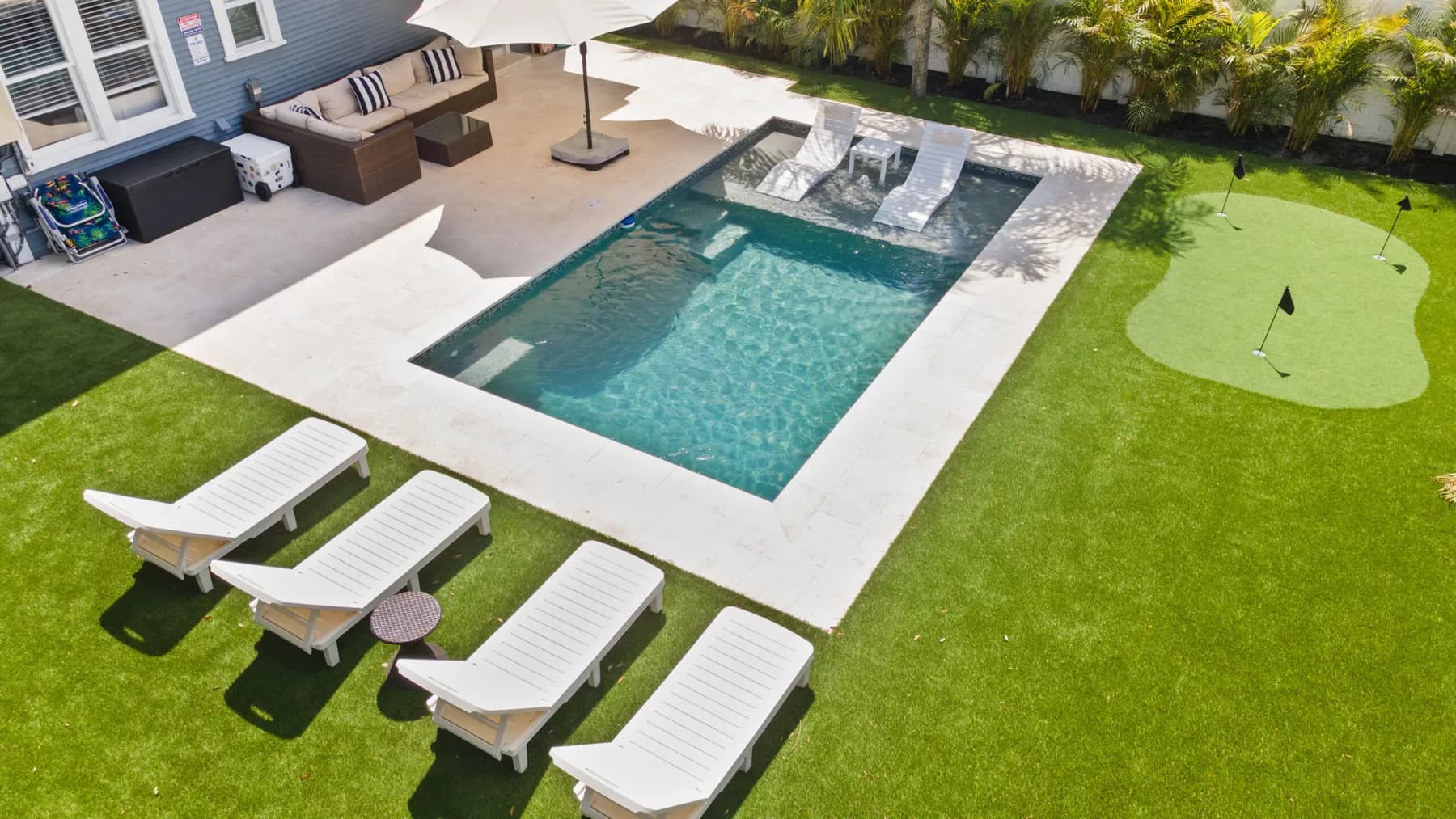 The whole backyard