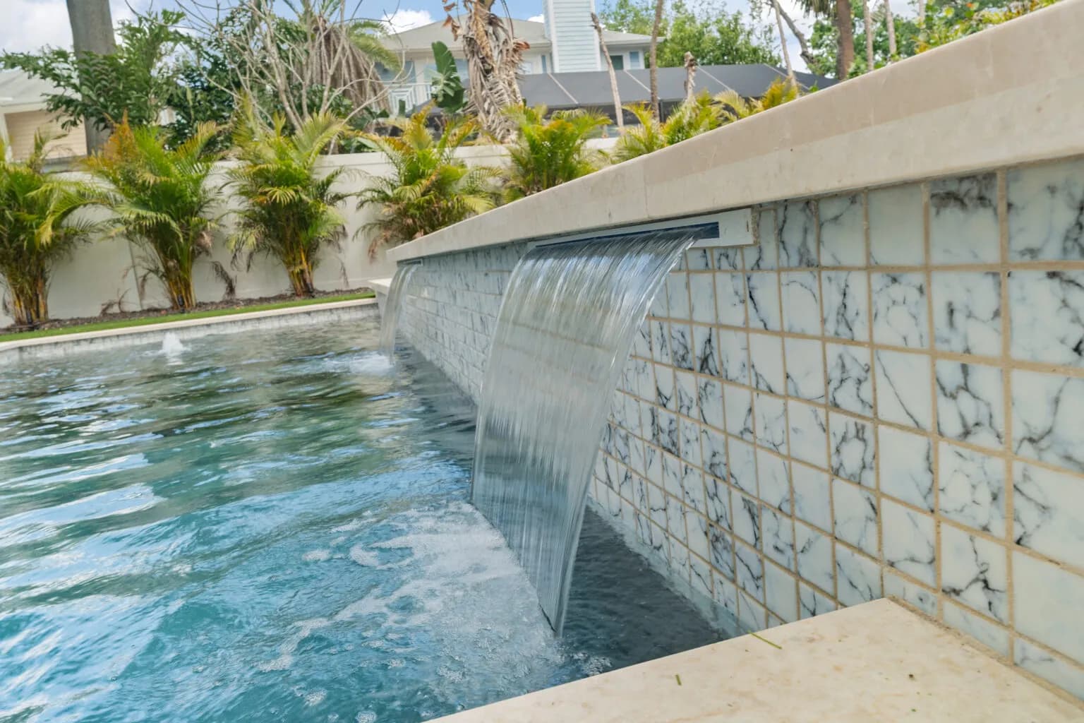 The Whole Backyard — Lutz pool, photo 3