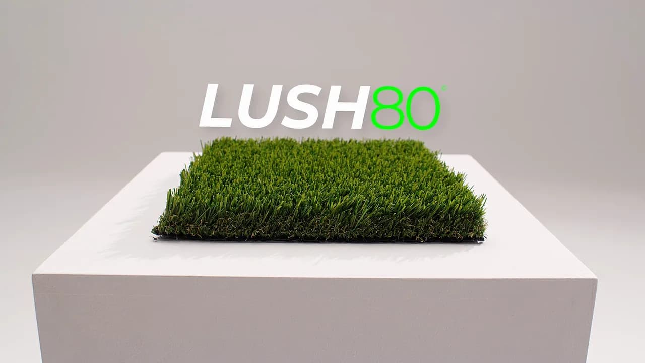 Lush 80
